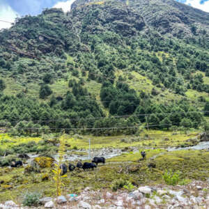 15 Offbeat Things to do in Tawang Arunachal Pradesh 28