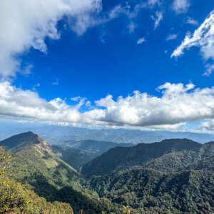 Dzukou Valley Nagaland- Guide To Hidden Valley 16