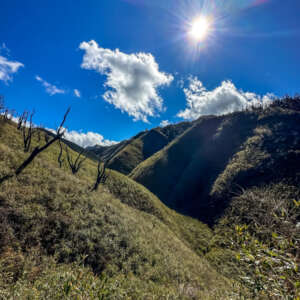 Dzukou Valley Nagaland- Guide To Hidden Valley 19