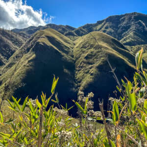 Dzukou Valley Nagaland- Guide To Hidden Valley 20