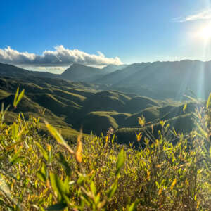 Dzukou Valley Nagaland- Guide To Hidden Valley 24