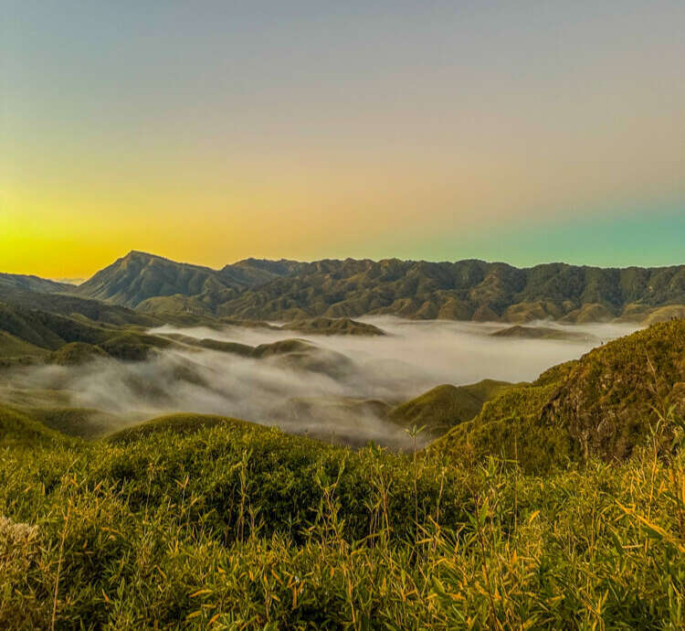 Dzukou Valley Nagaland- Guide To Hidden Valley 10