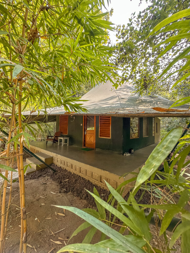 Pench Jungle Camp resort