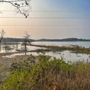 Discovering the Hidden Gems of Pench National Park 5