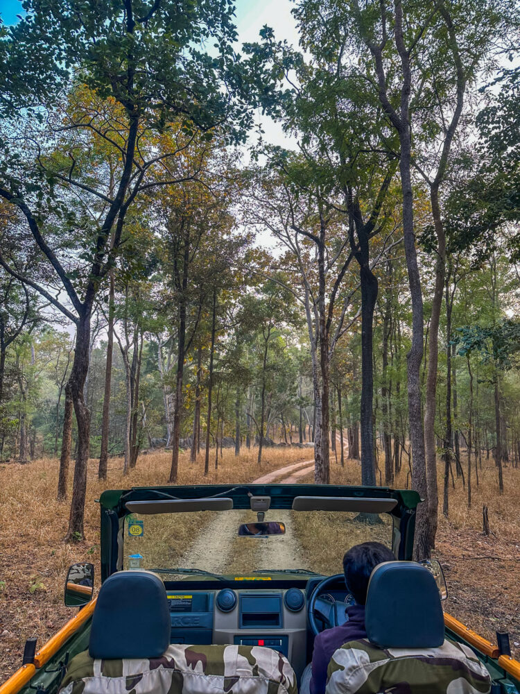 How to book Pench National Park Safari 2