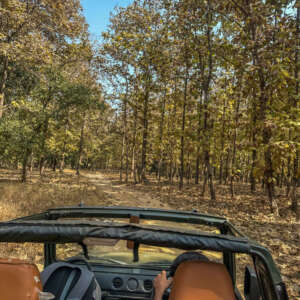How to book Pench National Park Safari 15