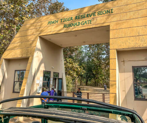 How to book Pench National Park Safari 7