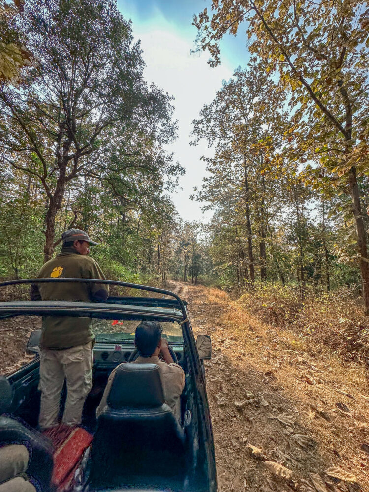 How to book Pench National Park Safari 8