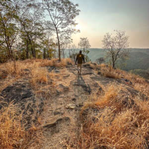 Discovering the Hidden Gems of Pench National Park 9
