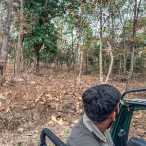 How to book Pench National Park Safari 12