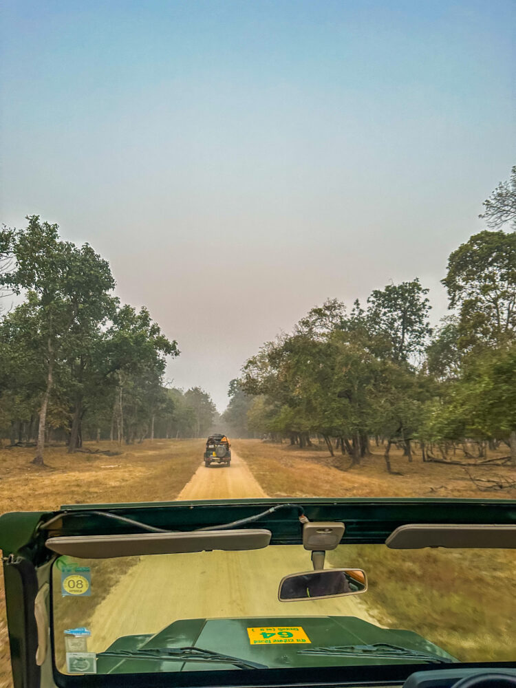 Things to do in pench national park 2