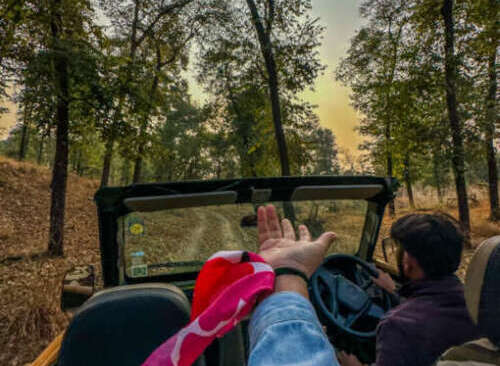 Things to do in pench national park