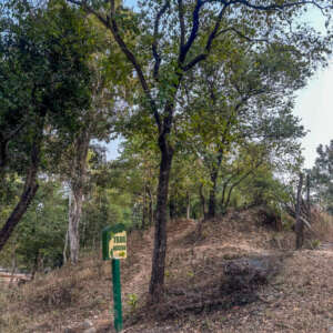 Things to do in pench national park 5