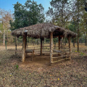 Things to do in pench national park 9