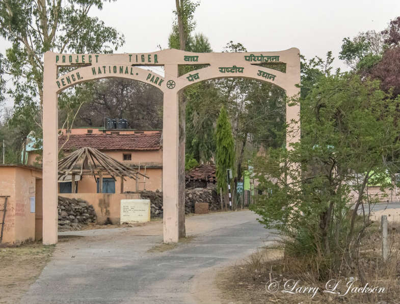 How to book Pench National Park Safari 5